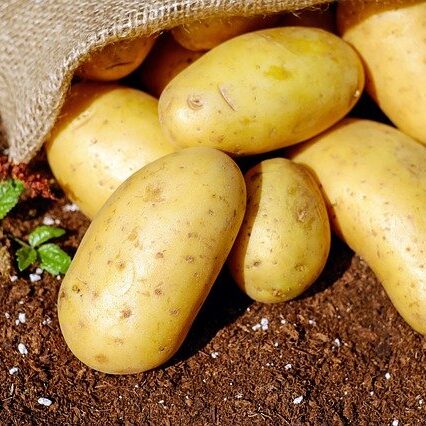 potatoes-1585075_640